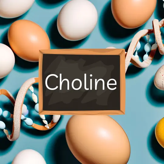 Choline Metabolism & Genetics: SNPs That Impact Methylation